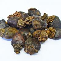 檟如树、打印果(Anacar.) 30C.$220
