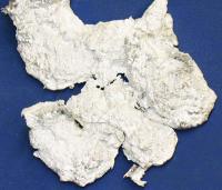 铝(Alum.)30C $220