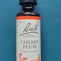 3906櫻桃李Cherry Plum 30C