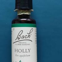 3915冬青Holly 30C