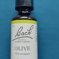 3923橄欖Olive 30C