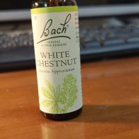 3935白栗子White chestnut 30C.